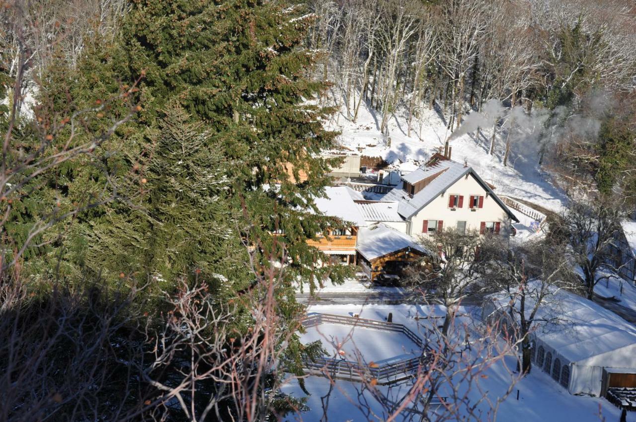 Domaine Du Hirtz, Restaurant & Spa Wattwiller Esterno foto