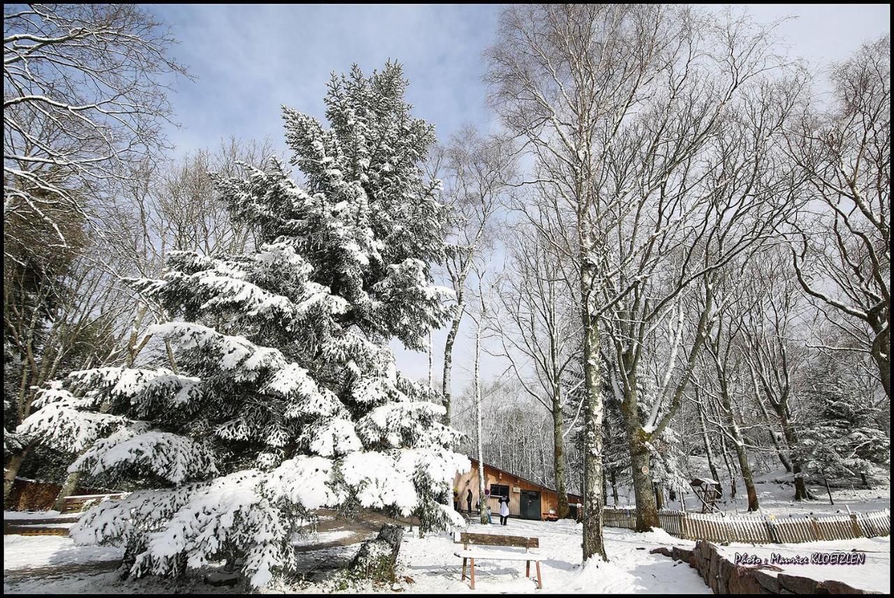 Domaine Du Hirtz, Restaurant & Spa Wattwiller Esterno foto
